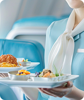 항공운항과 과정